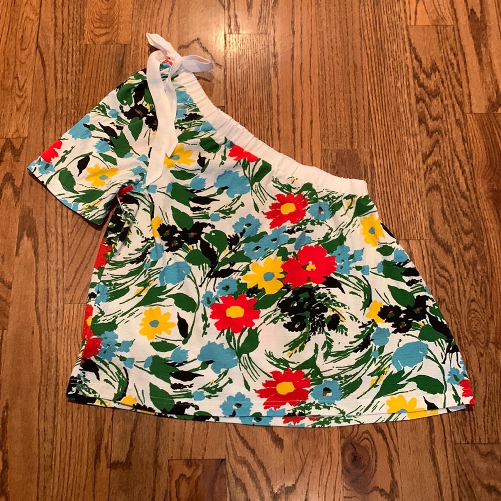 Porridge Anthropologie shirt